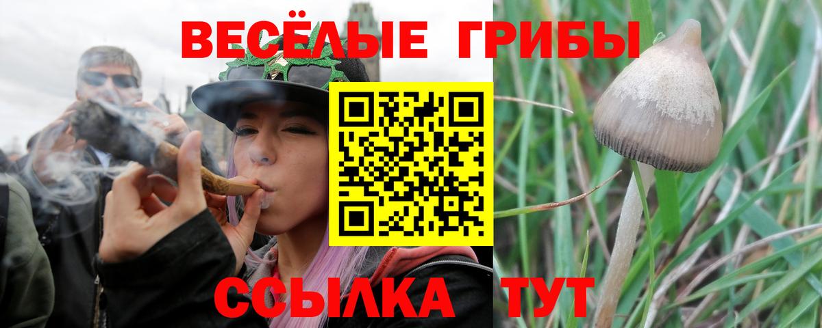 Ессентуки  Псилоцибиновые грибы MAGIC MUSHROOMS  Вход с VPN 